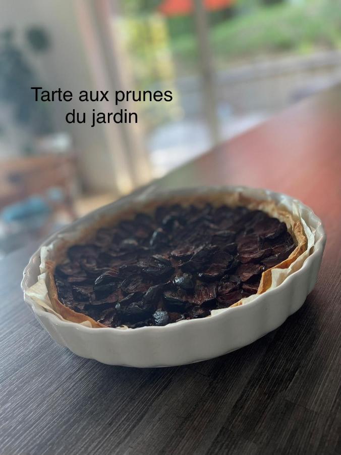 Au Perchoir Διαμέρισμα Caunes-Minervois Εξωτερικό φωτογραφία